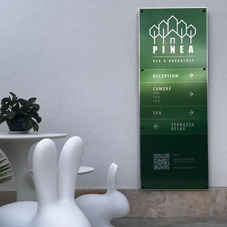 Oda ve Kahvaltı Pinea