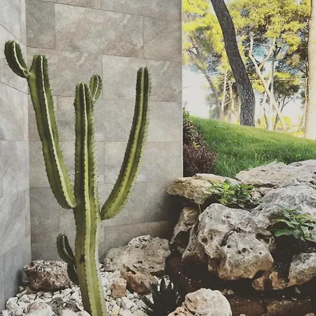 Panzió Pinea Castellaneta Marina