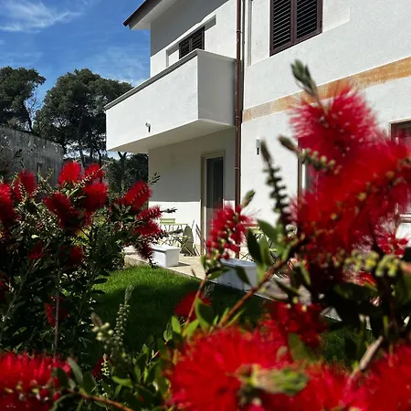 Pinea Bed & Breakfast 4*