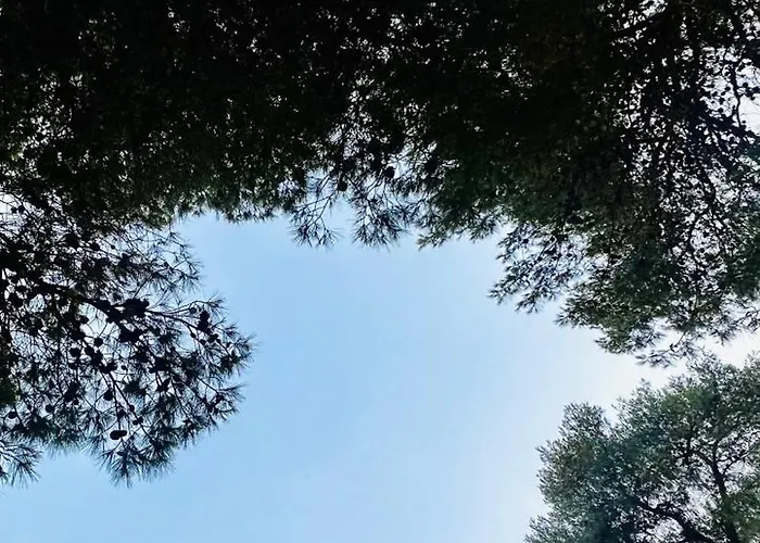 Pinea לינה וארוחת בוקר 4*